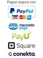 Pague seguro con: PayPal(Visa, Mastercard y American express), Mercado pago, PayU, Square o Conekta.